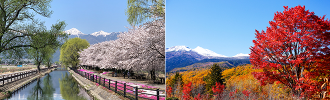 スマホ用メインイメージ